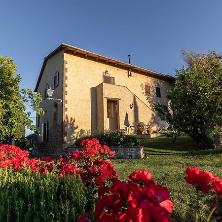 Agriturismo Casanova 아시아노 외부 사진