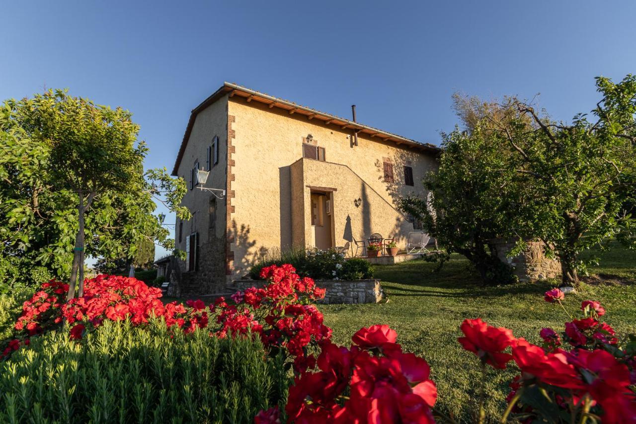 Agriturismo Casanova 아시아노 외부 사진